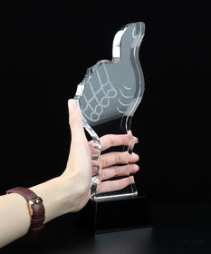 闪耀匠心 定制水晶太阳杯奖杯，量多价优，打造专属荣誉与美发时尚